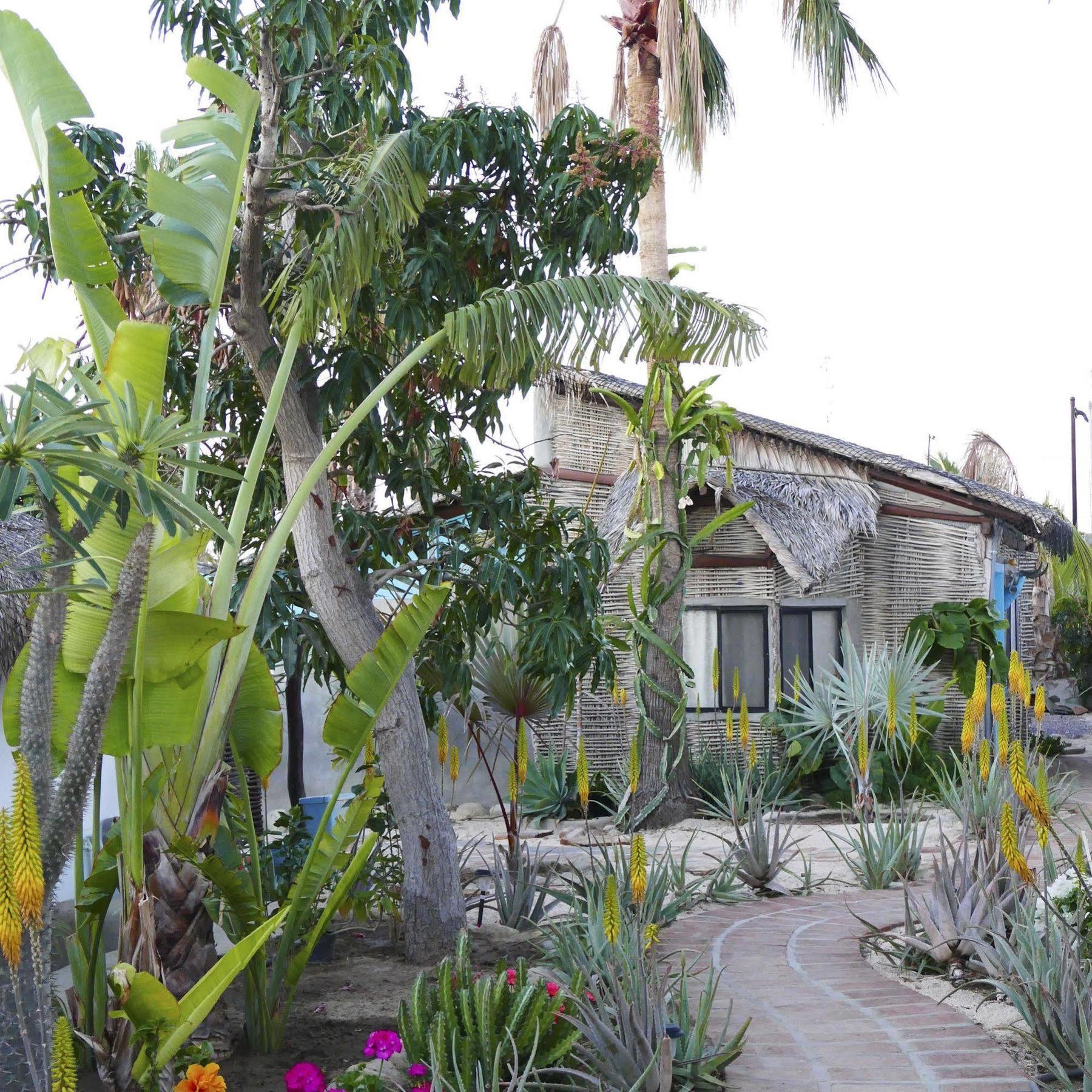 Hotel La Bohemia Todos Santos Zewnętrze zdjęcie